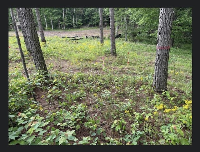 595 Compass Dr Unit Rb-104, Jasper, TN 37347 - photo 28