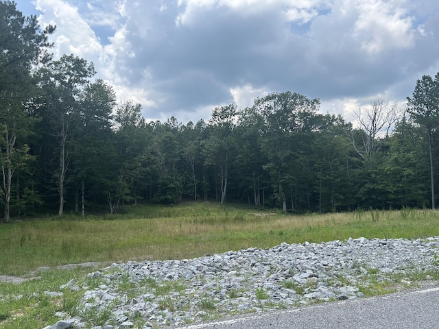 595 Compass Dr Unit Rb-104, Jasper, TN 37347 - photo 2