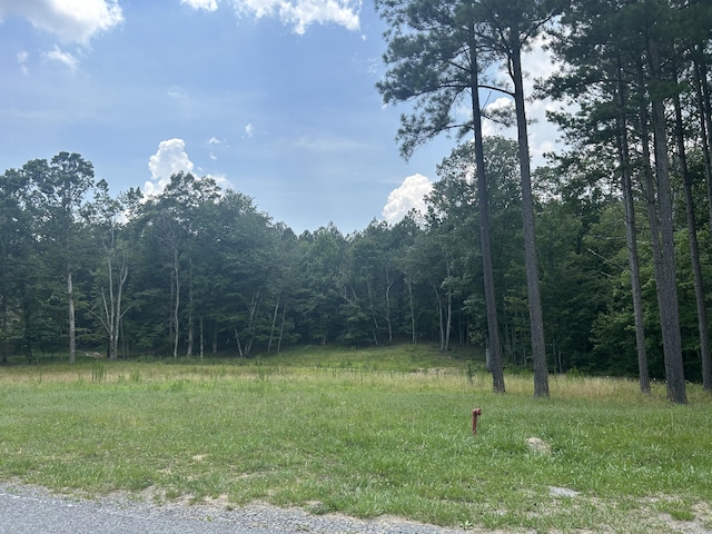 595 Compass Dr Unit Rb-104, Jasper, TN 37347 - photo 3