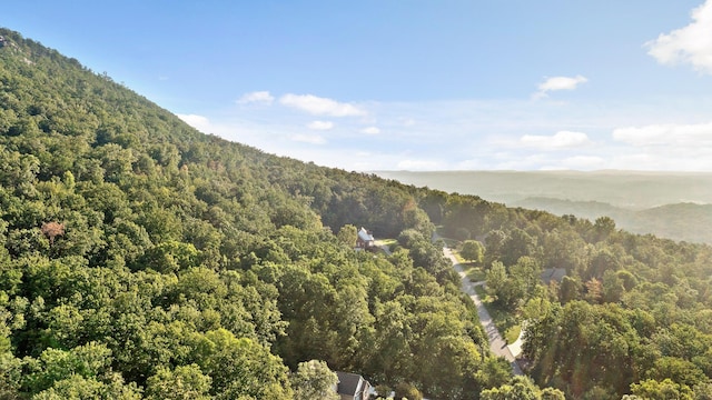7783 Rocky Ledge Dr, Hixson, TN 37343 - photo 1