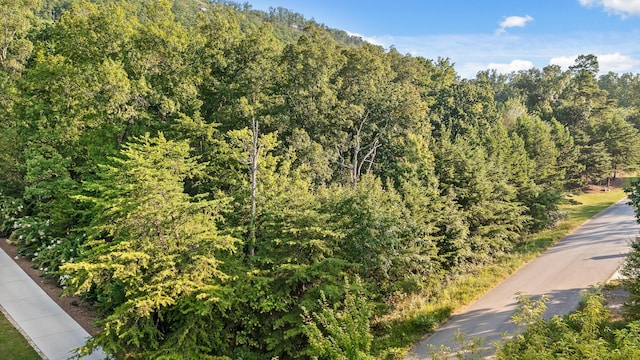 7783 Rocky Ledge Dr, Hixson, TN 37343 - photo 8