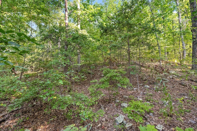 7783 Rocky Ledge Dr, Hixson, TN 37343 - photo 12
