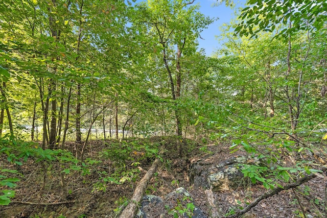 7783 Rocky Ledge Dr, Hixson, TN 37343 - photo 13