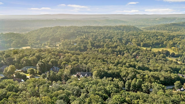 7783 Rocky Ledge Dr, Hixson, TN 37343 - photo 15