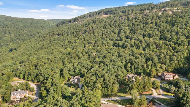 7783 Rocky Ledge Dr, Hixson, TN 37343 - photo 19
