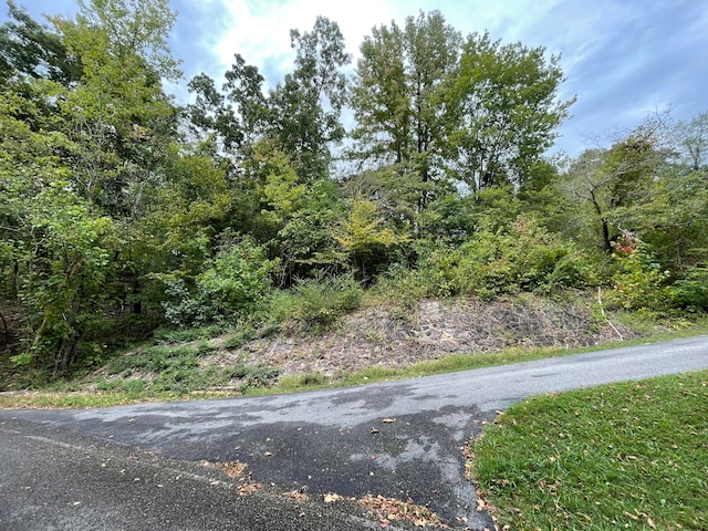 Listing photo 2 for 29 Park Dr Lot 29, Dayton TN 37321