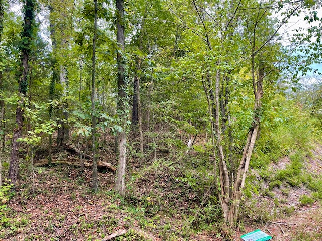 29 Park Dr Lot 29, Dayton, TN 37321 - photo 4
