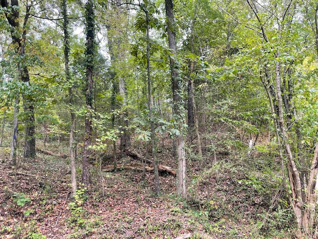 29 Park Dr Lot 29, Dayton, TN 37321 - photo 5