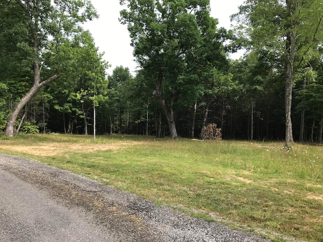 38 Quail Trl Unit 38, Dunlap TN, 37327 land for sale