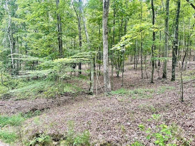 0 White Oak Rd, Summerville, GA 30747