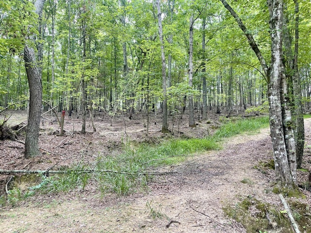 0 White Oak Rd, Summerville, GA 30747