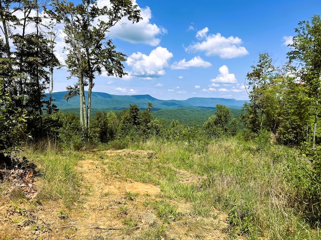 31.54ACRE Chestnut Mountain Rd, Reliance TN, 37369 land for sale