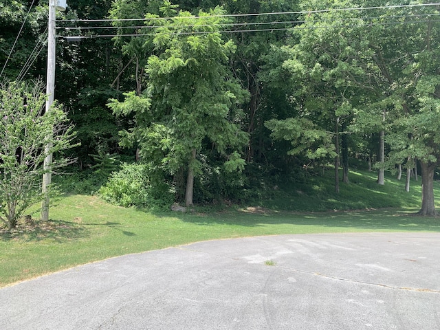 0 Russell St Lot 41, Jasper, TN 37347
