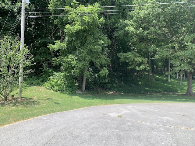 0 Russell St Lot 41, Jasper TN, 37347 land for sale