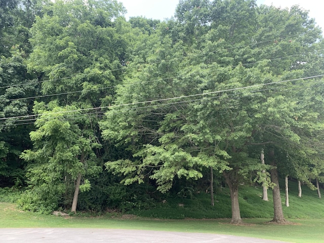 Listing photo 3 for 0 Russell St Lot 41, Jasper TN 37347