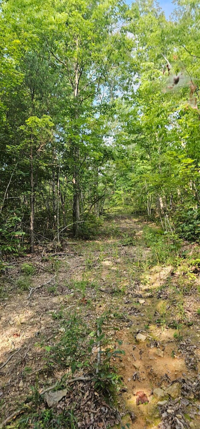 000 Cove Hill Rd, Pikeville TN, 37367 land for sale