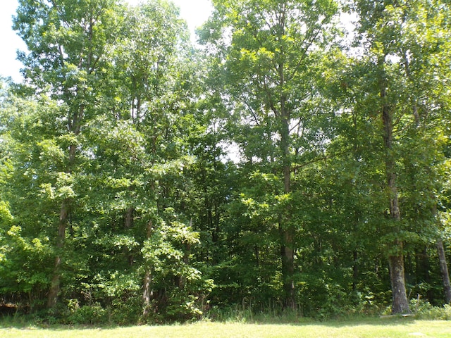103 Shale St Unit 51, Spencer, TN 38585