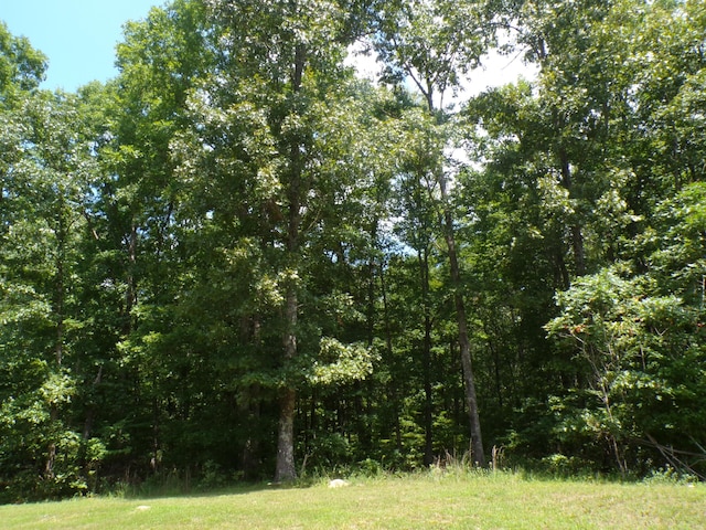 103 Shale St Unit 51, Spencer, TN 38585