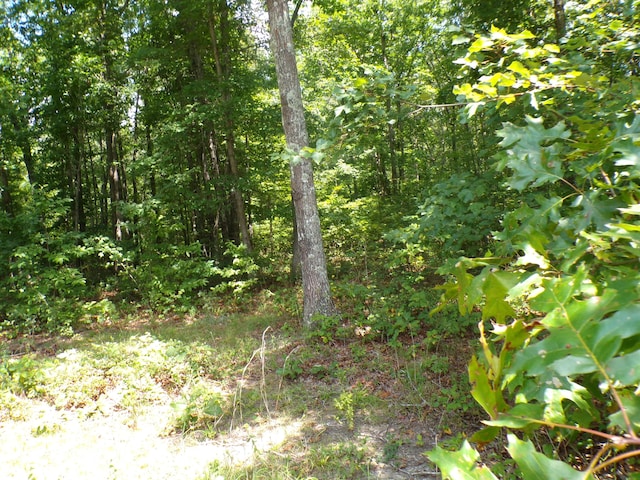 103 Shale St Unit 51, Spencer, TN 38585