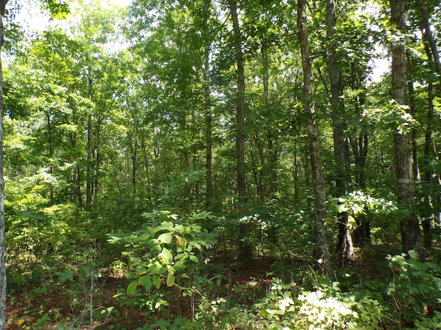 103 Shale St Unit 51, Spencer, TN 38585