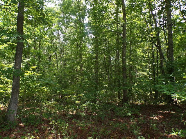 103 Shale St Unit 51, Spencer, TN 38585
