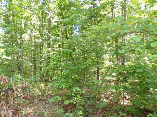 103 Shale St Unit 51, Spencer, TN 38585