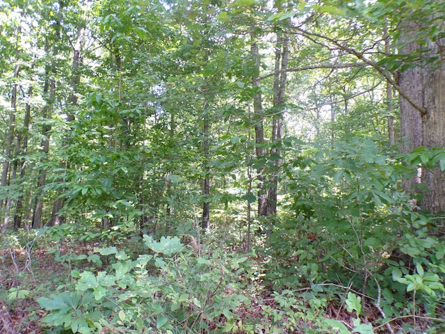 103 Shale St Unit 51, Spencer, TN 38585