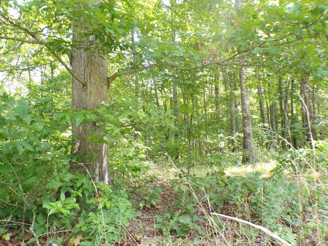 103 Shale St Unit 51, Spencer, TN 38585