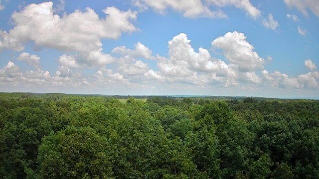 103 Shale St Unit 51, Spencer, TN 38585