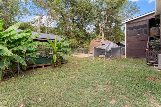 view of yard with a storage shed