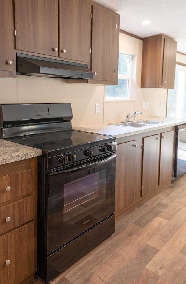 kitchen featuring gas stove, dishwasher, light hardwood / wood-style floors, and sink