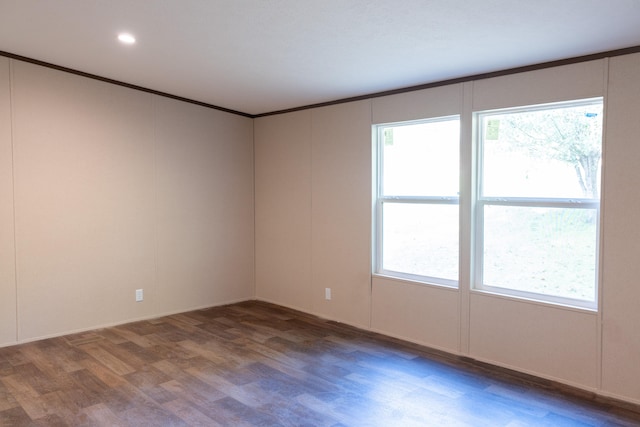 empty room featuring ornamental molding and hardwood / wood-style flooring