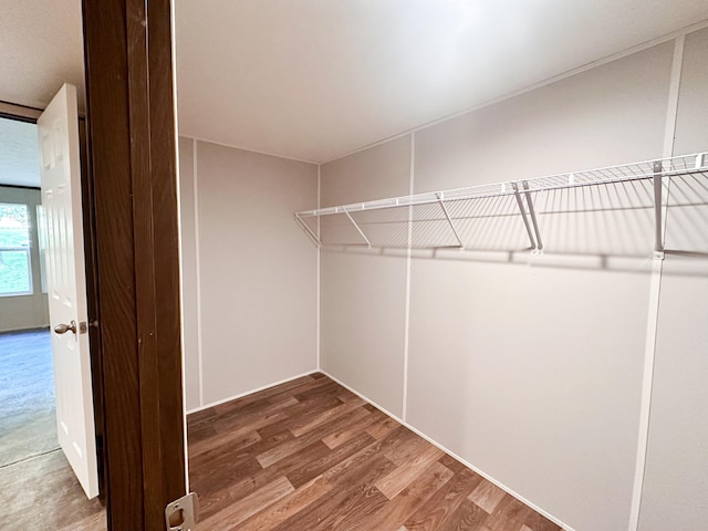 spacious closet featuring wood-type flooring