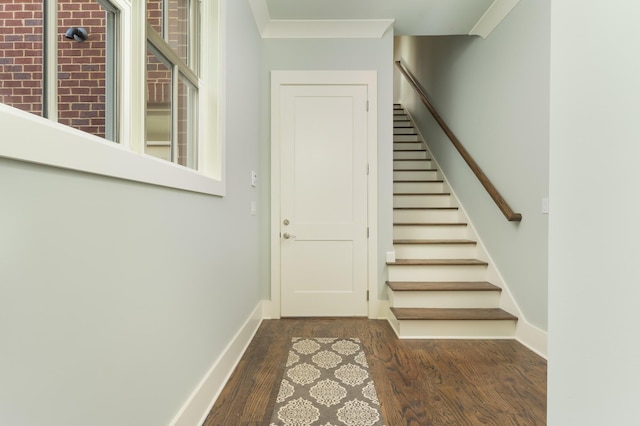 staircase with wood-type flooring and crown molding