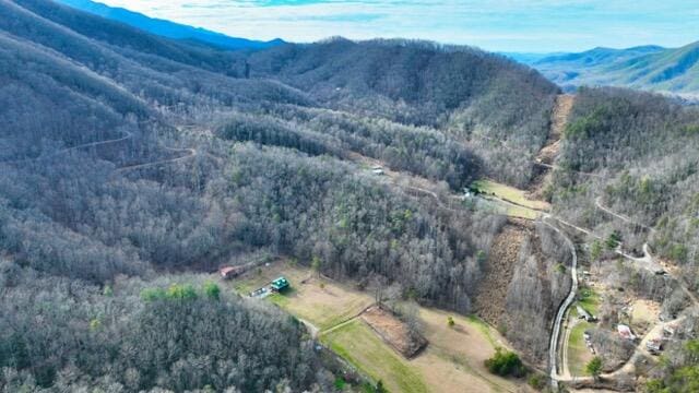 0 Ramsey Rd, Cosby TN, 37722 land for sale