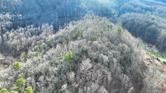 Listing photo 2 for 0 Ramsey Rd, Cosby TN 37722