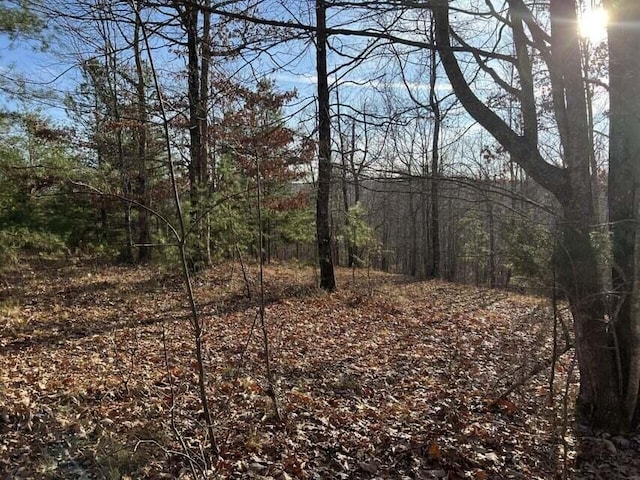 0 Log Cabin Ln Lot 1, Dunlap TN, 37327 land for sale