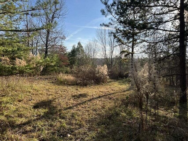 Listing photo 2 for 0 Log Cabin Ln Lot 1, Dunlap TN 37327