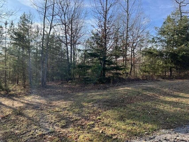 Listing photo 3 for 0 Log Cabin Ln Lot 1, Dunlap TN 37327