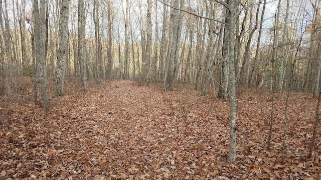 545 Wilderness Way, Dunlap TN, 37327 land for sale