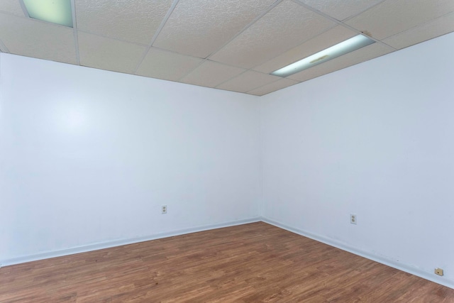 spare room featuring hardwood / wood-style flooring and a paneled ceiling