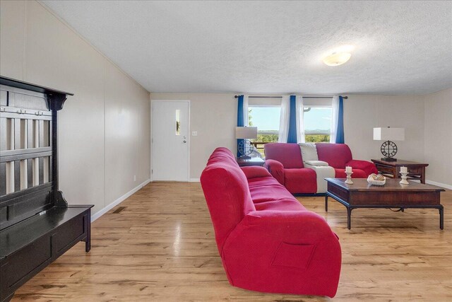 living room with a textured ceiling and light hardwood / wood-style floors