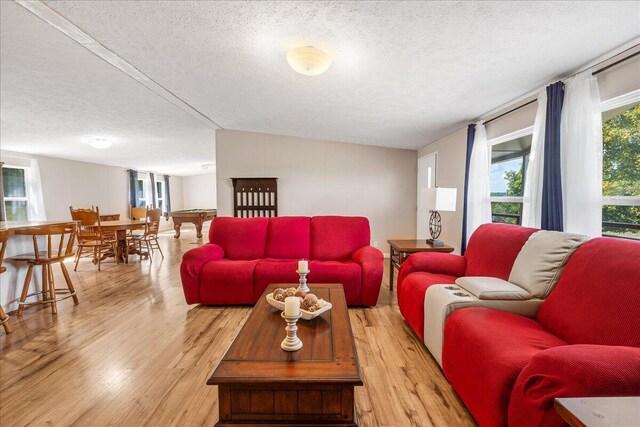 living room with a textured ceiling and wood-type flooring