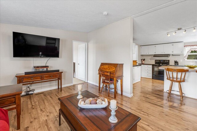 living room featuring a textured ceiling and light hardwood / wood-style flooring