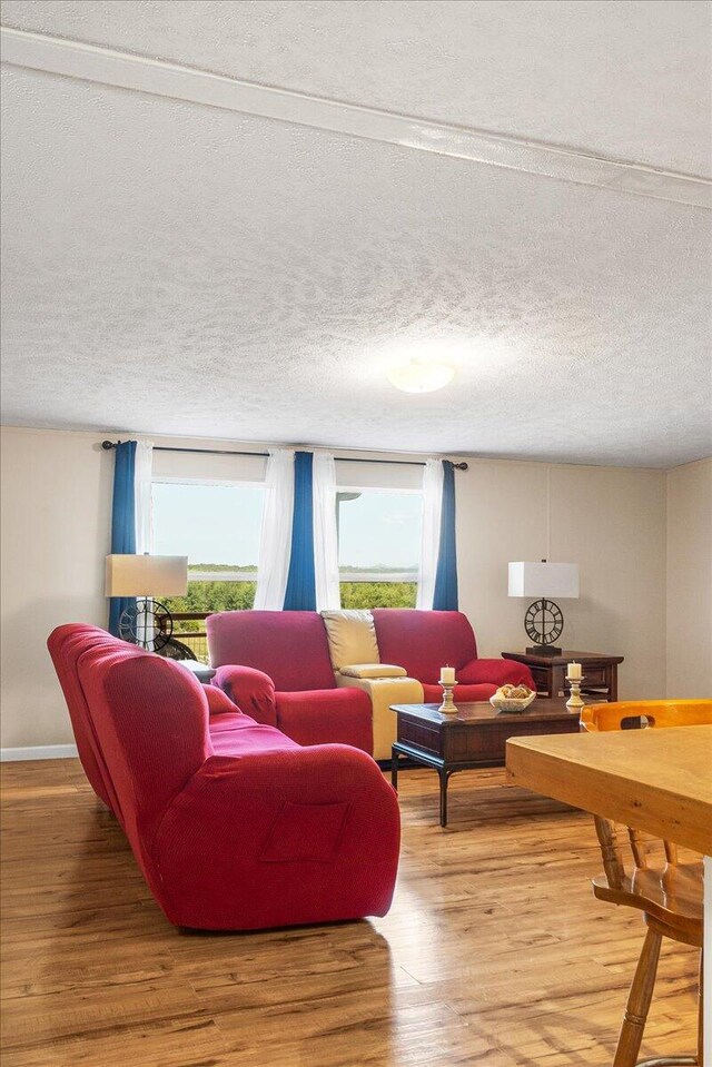 living room featuring hardwood / wood-style flooring and a textured ceiling