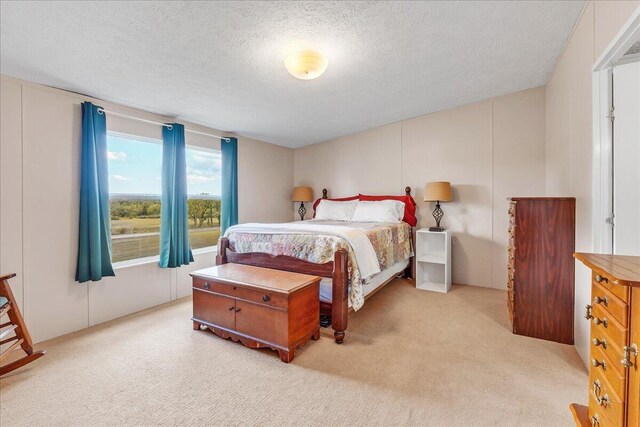 carpeted bedroom with a textured ceiling