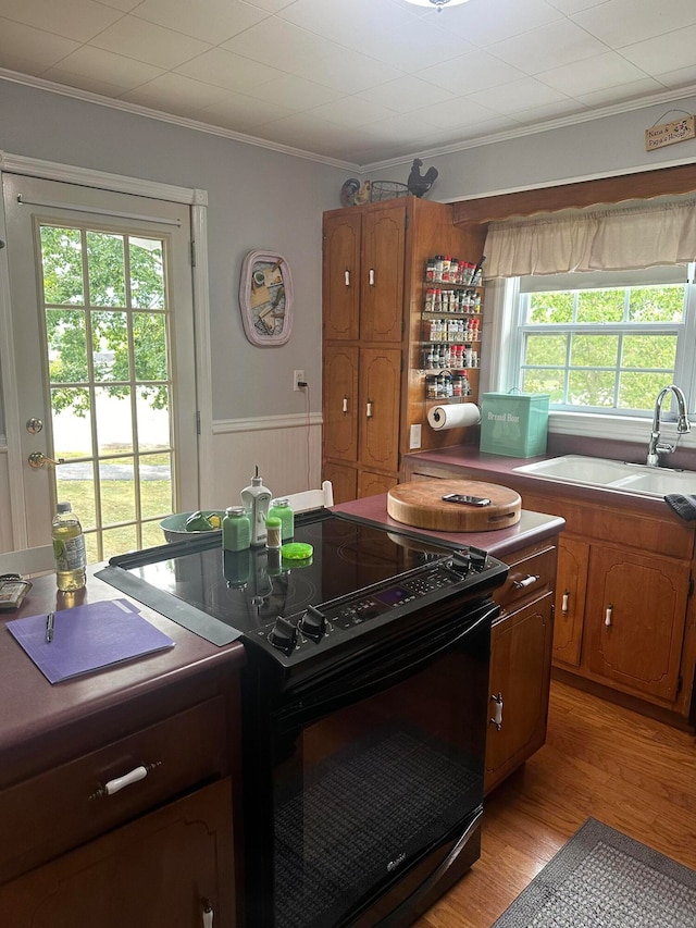 kitchen featuring plenty of natural light, black electric range oven, light hardwood / wood-style flooring, and sink