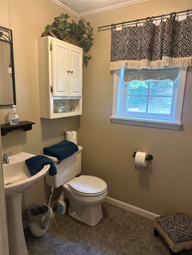 bathroom featuring crown molding and toilet