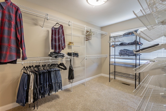 spacious closet featuring carpet flooring