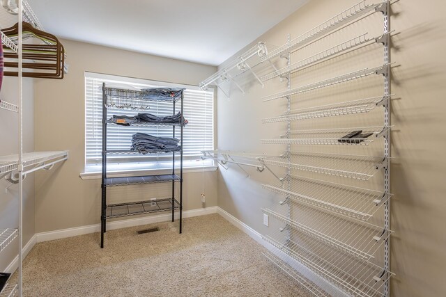 view of spacious closet